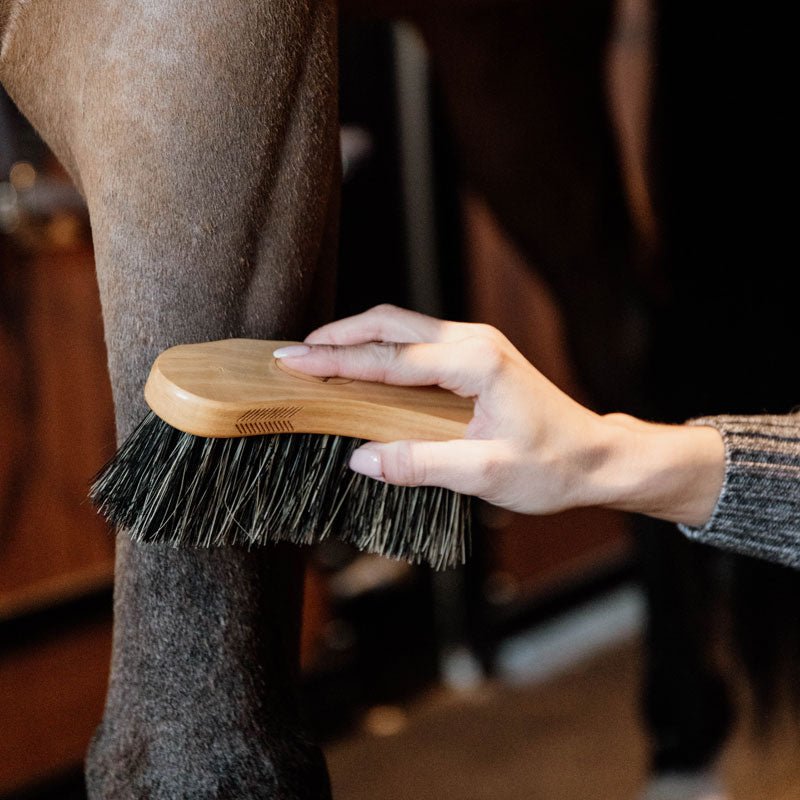 Grooming Deluxe Middle Hard Grooming Brush - Nags Essentials