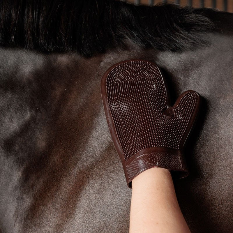 Grooming Deluxe Rubber Grooming Glove - Nags Essentials