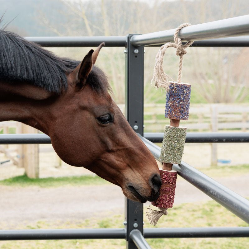 Grooming Deluxe Wooden Relax Horse Toy – Freedom - Nags Essentials