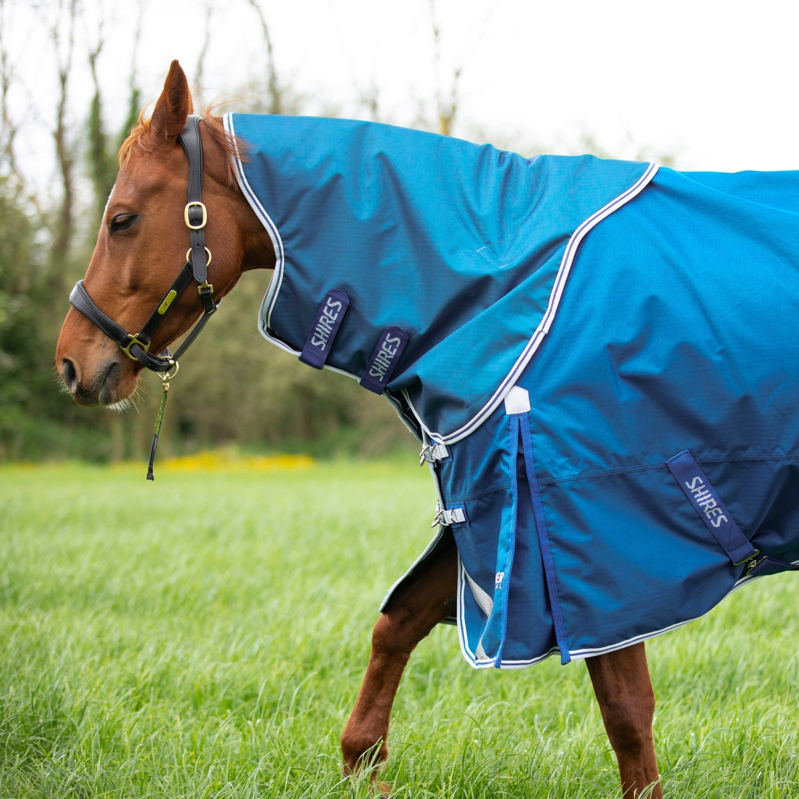 Highlander Original 200g Turnout Neck Cover - Blue - Nags Essentials