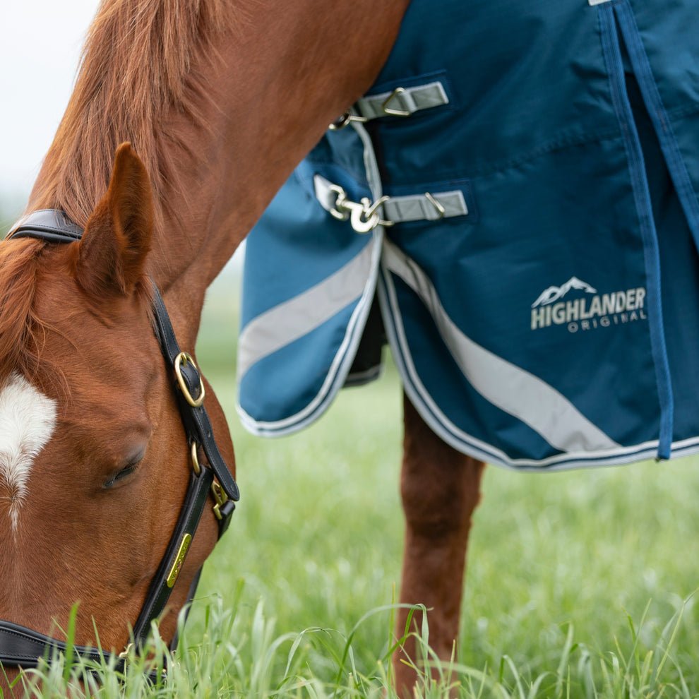 Highlander Original 50 Combo Turnout Rug - Ocean - Nags Essentials