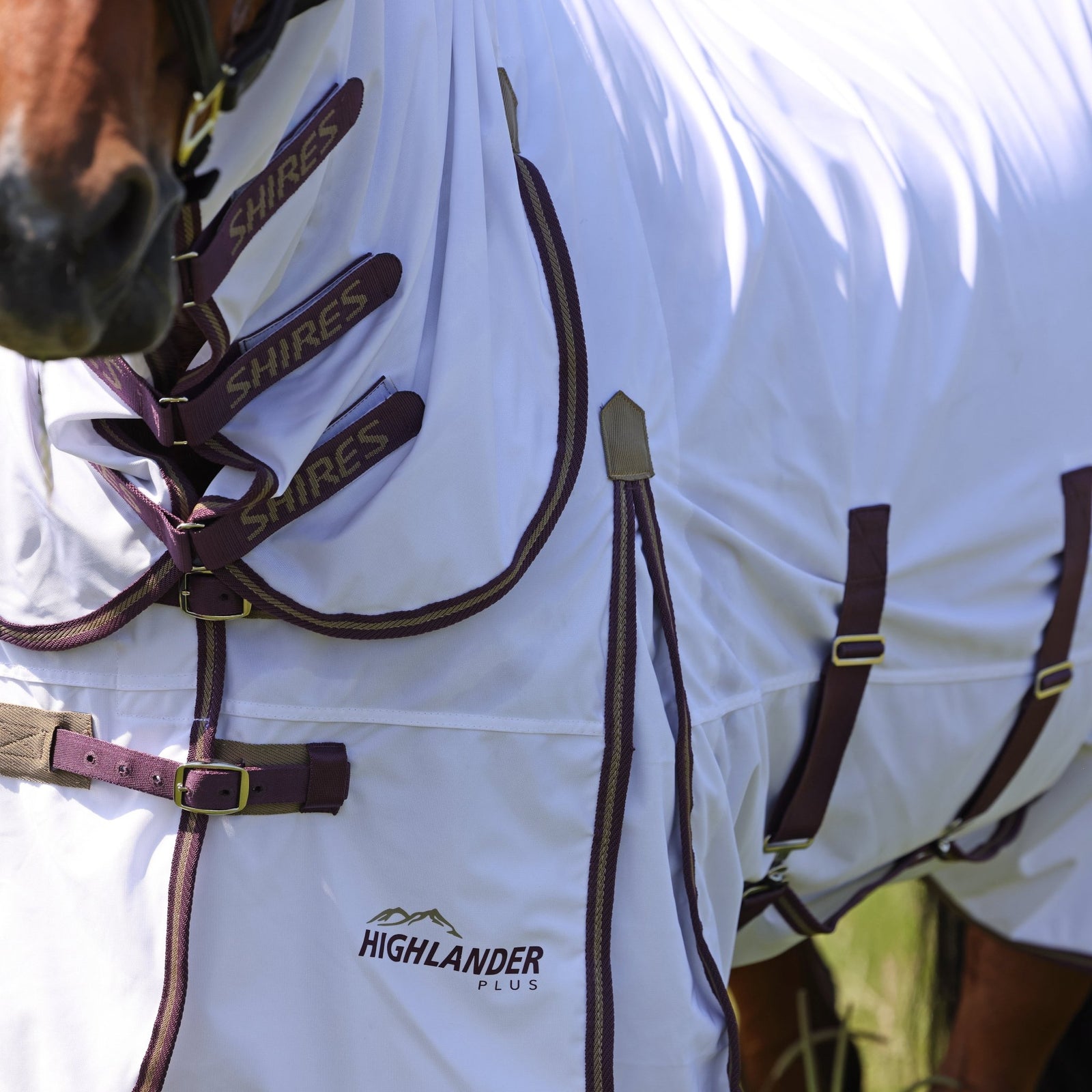 Highlander Plus Fly Sheet Combo Rug - Nags Essentials