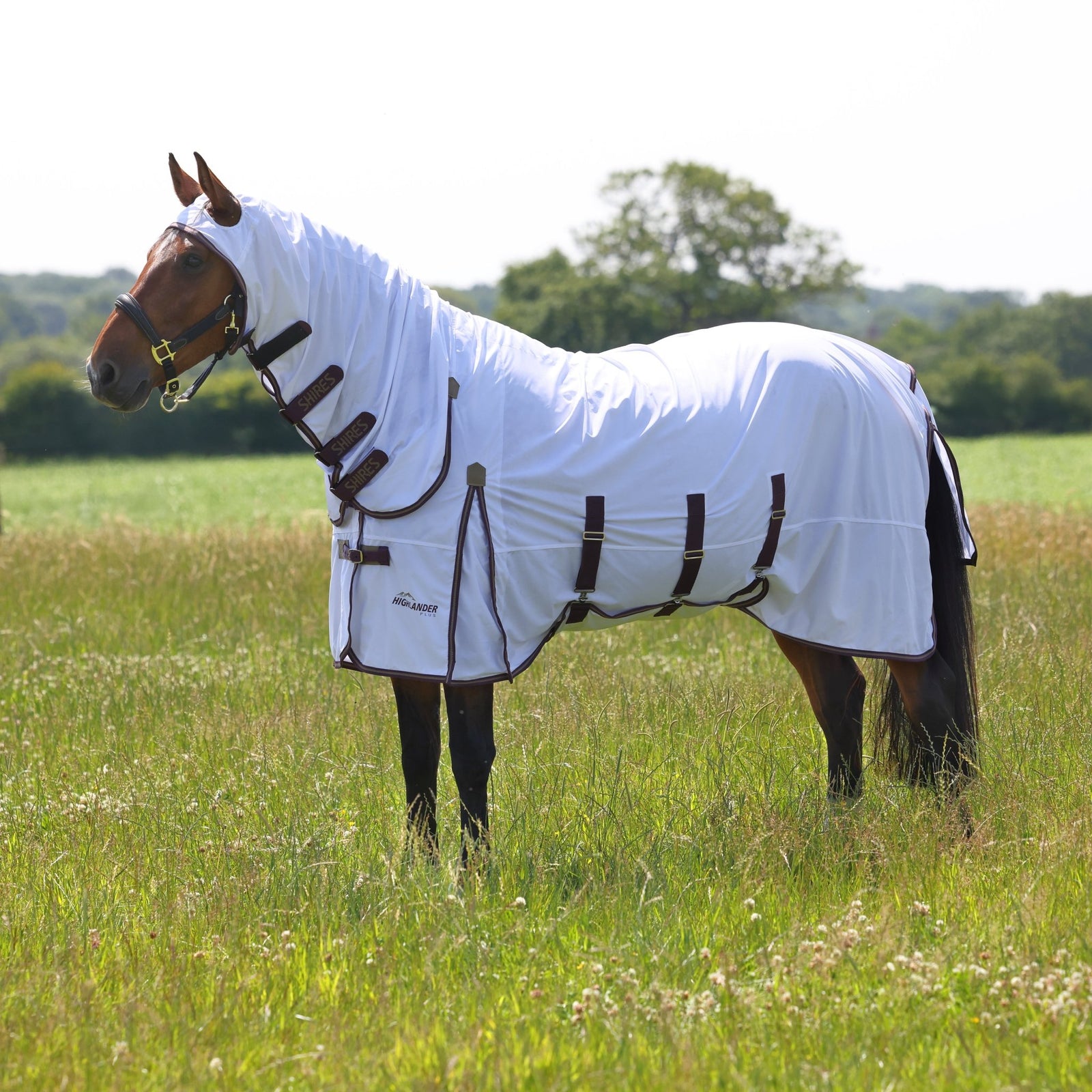 Highlander Plus Fly Sheet Combo Rug - Nags Essentials