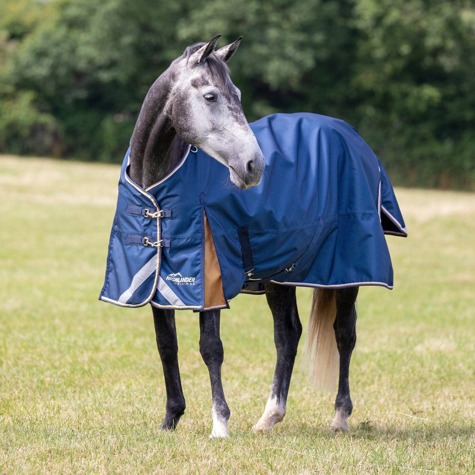 Highlander Plus Lite Turnout Rug - Navy - Nags Essentials