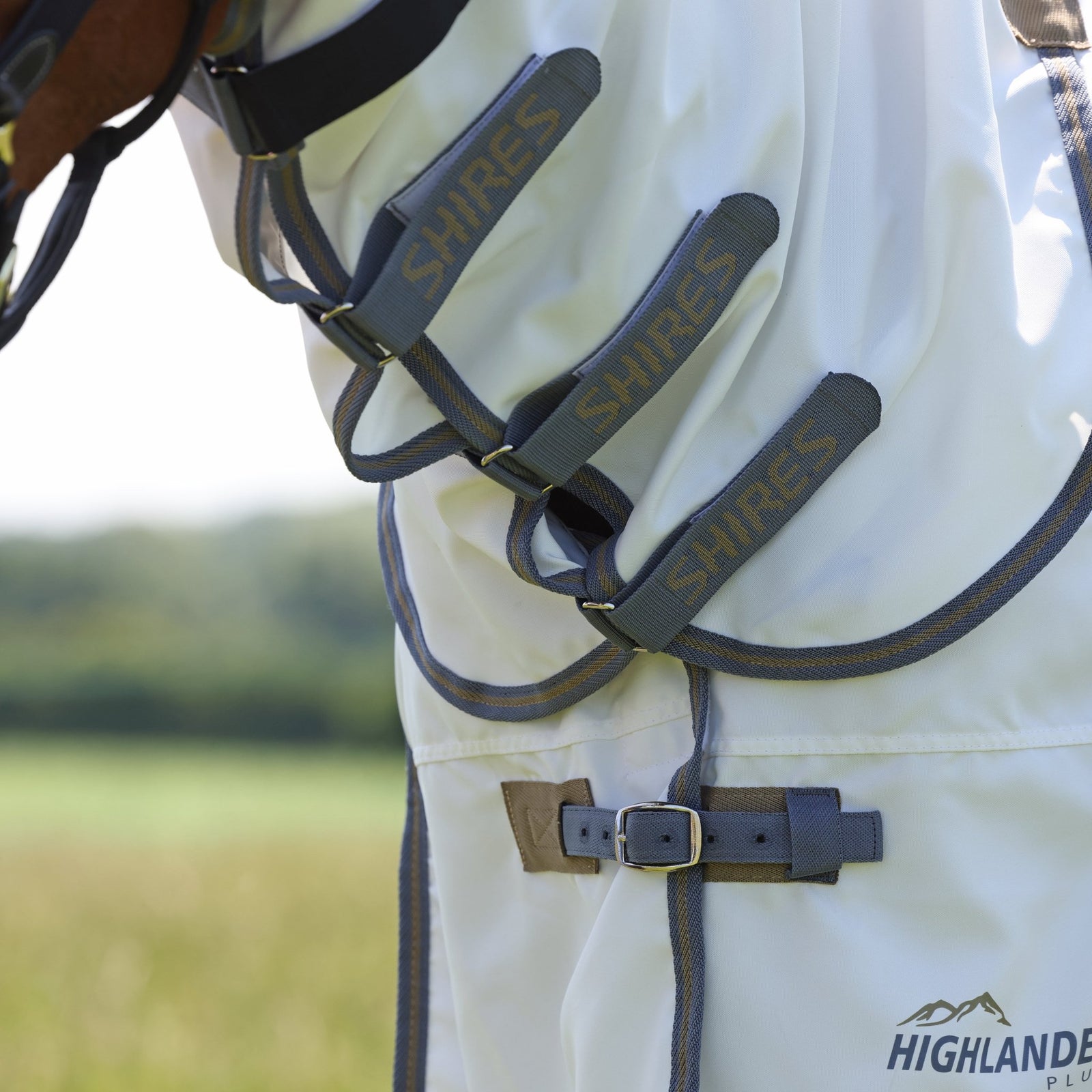 Highlander Plus Sweet - itch Combo Rug - Nags Essentials