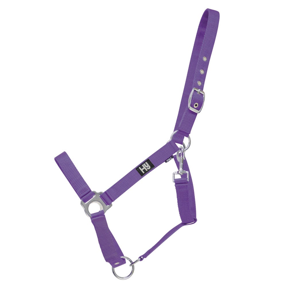 Hy Equestrian Economy Plus Head Collar - Nags Essentials