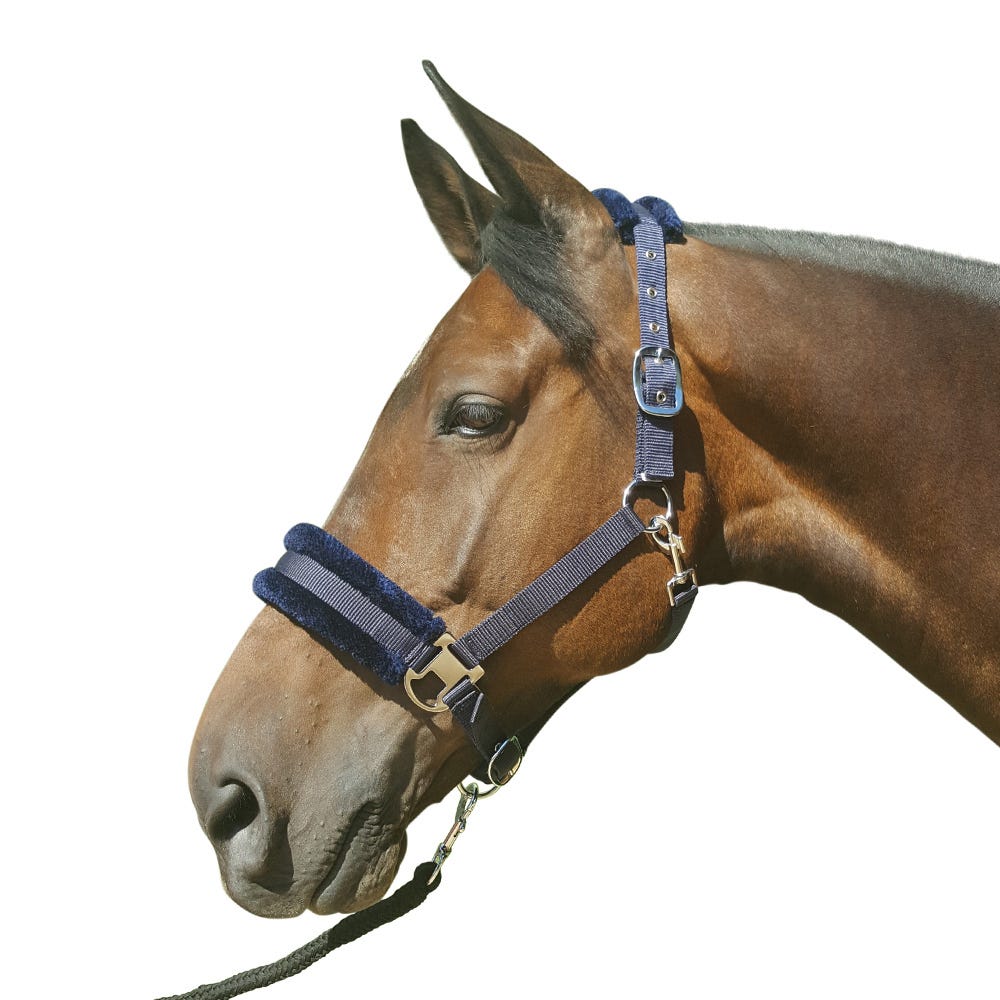 Hy Equestrian Faux Fur Padded Head Collar with Lead Rope - Nags Essentials