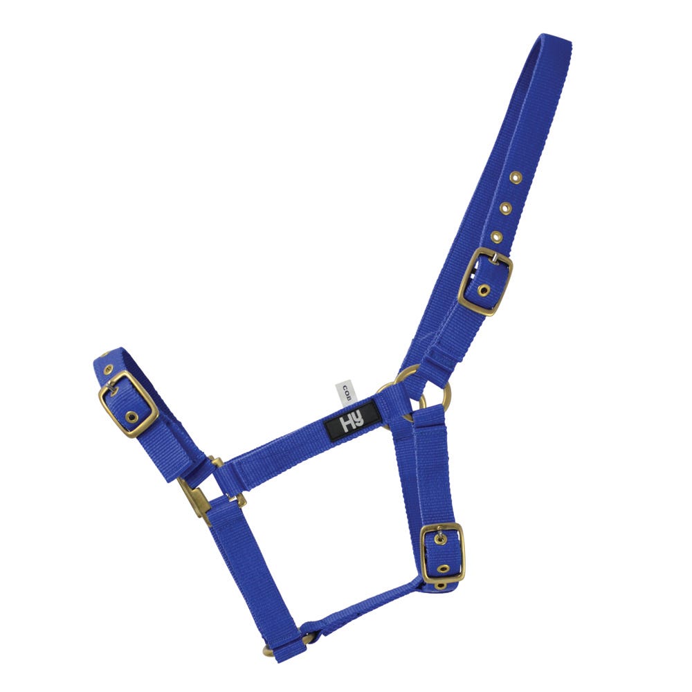 Hy Equestrian Holly Fully Adjustable Head Collar - Nags Essentials