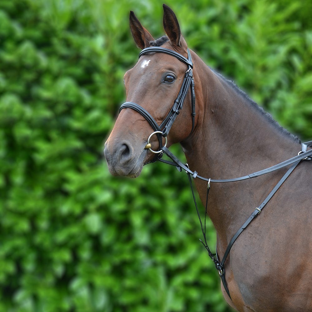Hy Equestrian Hunting Breastplate - Nags Essentials