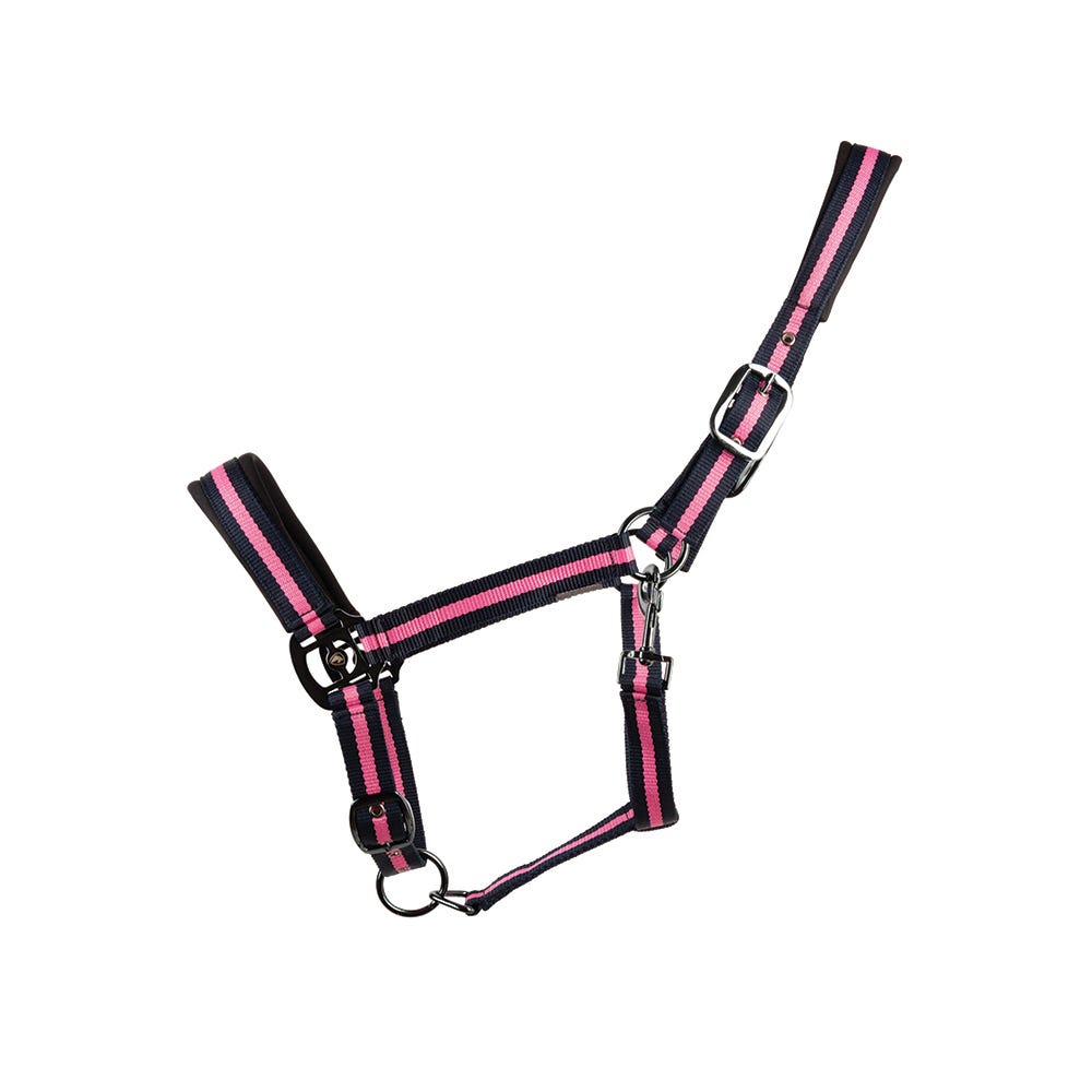Hy Equestrian Ink Head Collar - Nags Essentials
