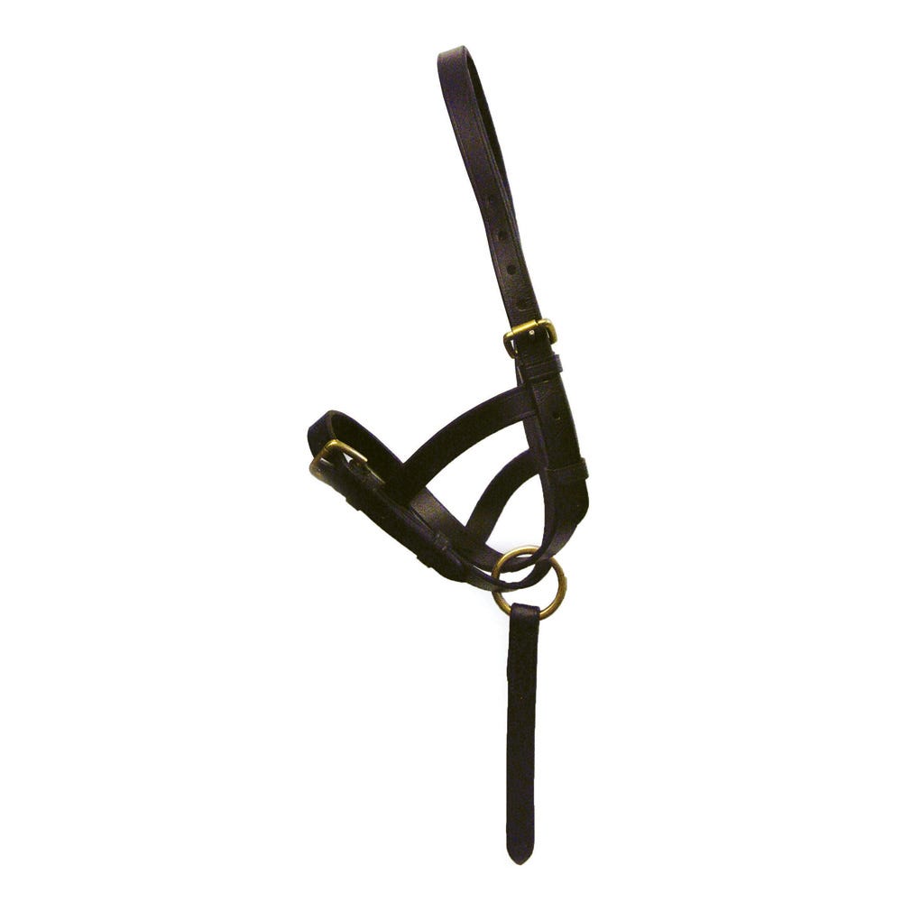 Hy Equestrian Leather Foal Slip - Nags Essentials