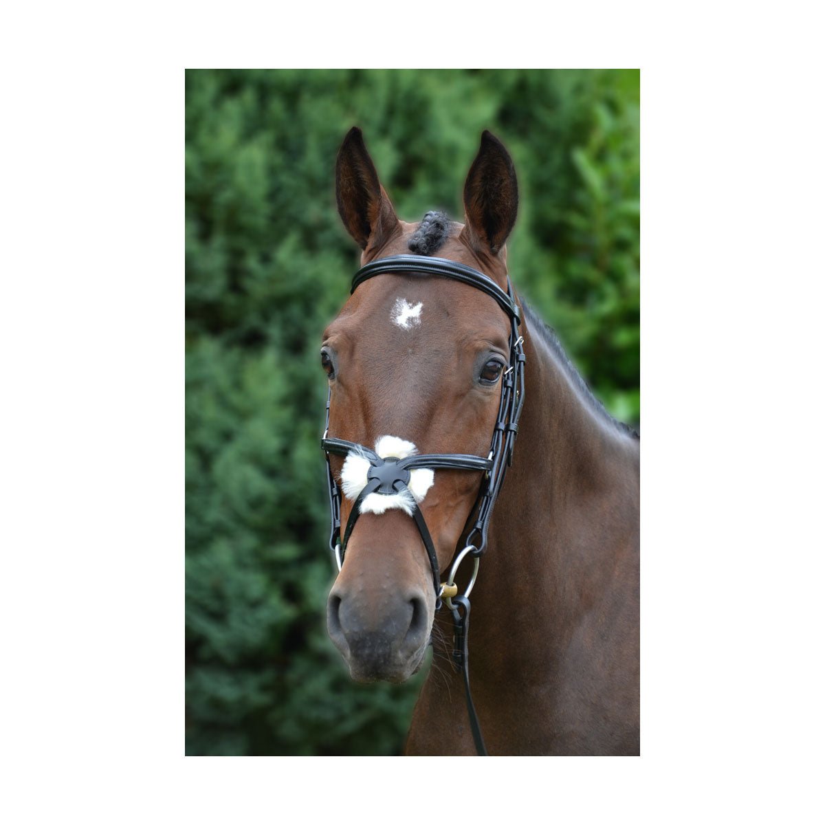 Hy Equestrian Mexican Bridle with Rubber Grip Reins - Nags Essentials