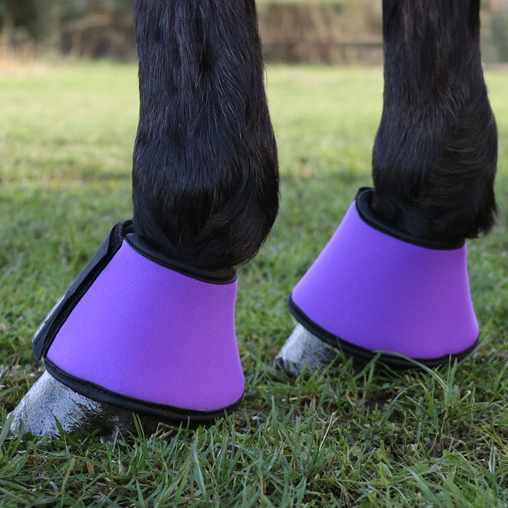 Hy Equestrian Neoprene Over Reach Boots - Nags Essentials