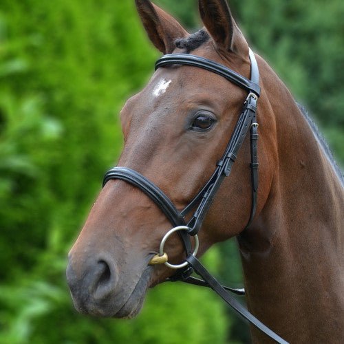 Hy Equestrian Padded Cavesson Bridle with Rubber Grip Reins - Nags Essentials
