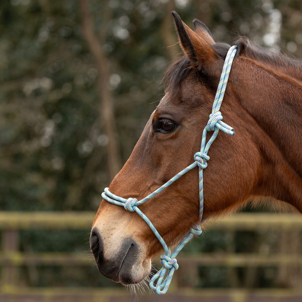 Hy Equestrian Rope Halter - Thick - Nags Essentials