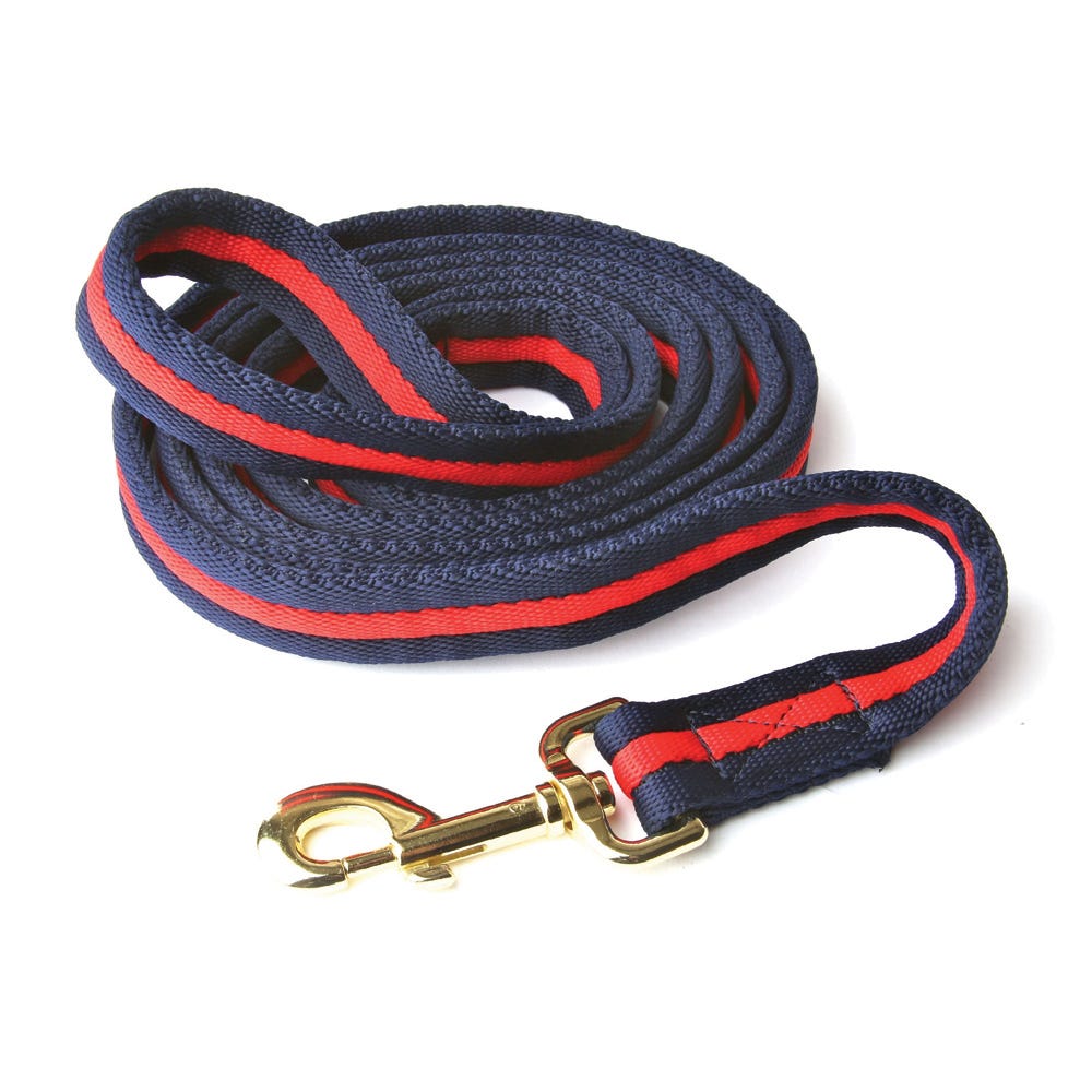 Hy Equestrian Soft Webbing Lead Rein Without Chain - Nags Essentials