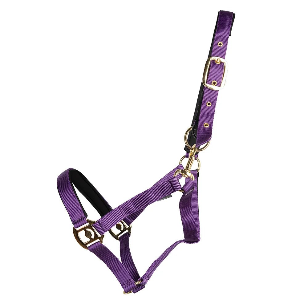Hy Fieldsafe Headcollar - Nags Essentials