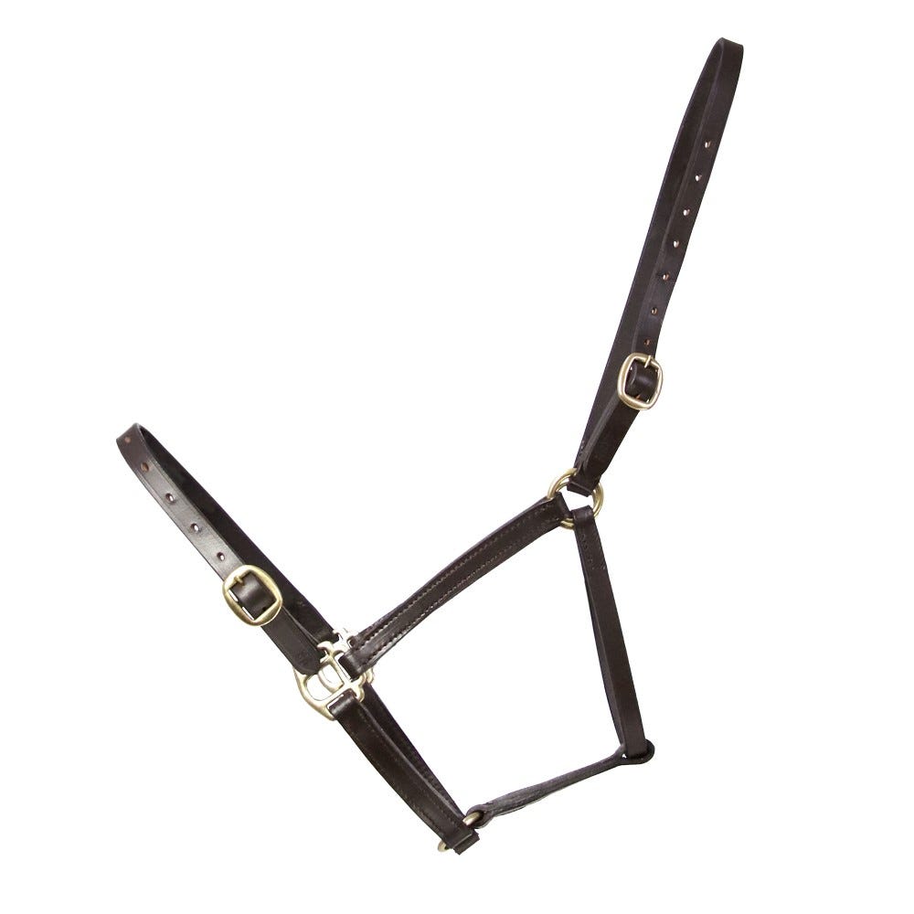 Hy Leather Foal Head Collar - Nags Essentials