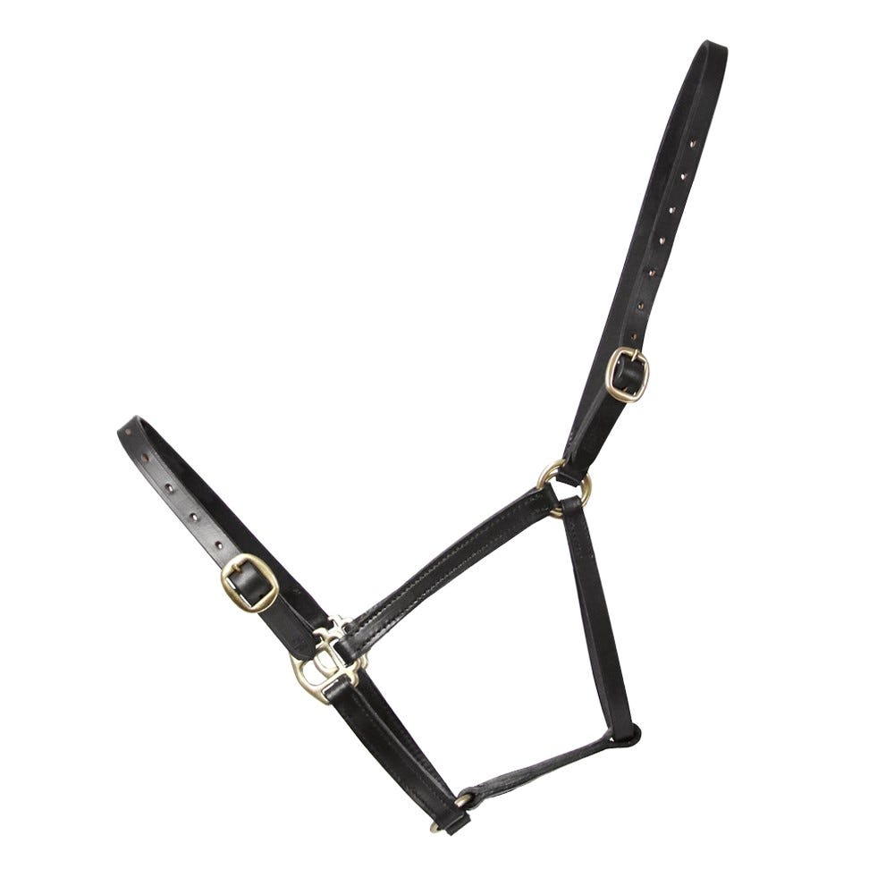 Hy Leather Foal Head Collar - Nags Essentials