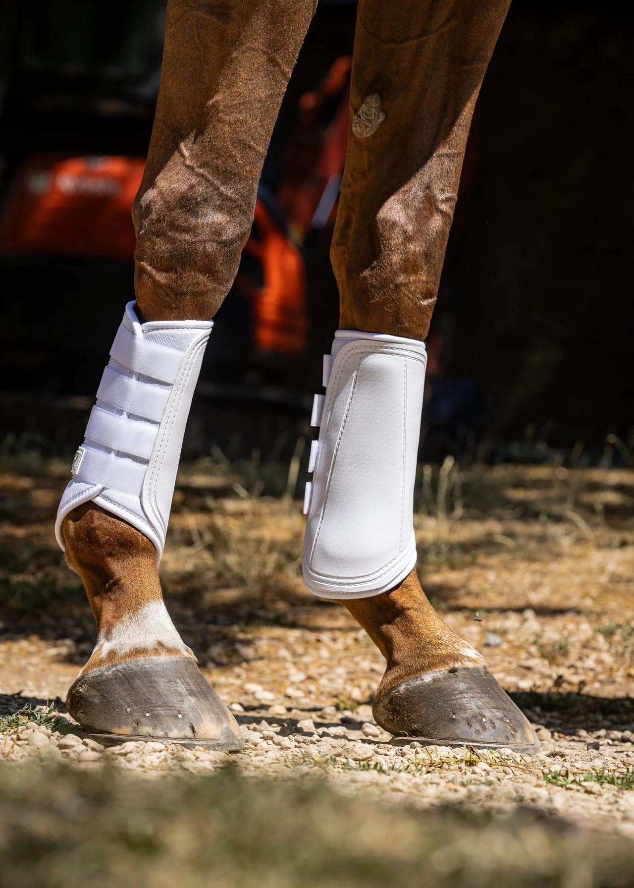 Woof Wear Single Lock Brushing Boot