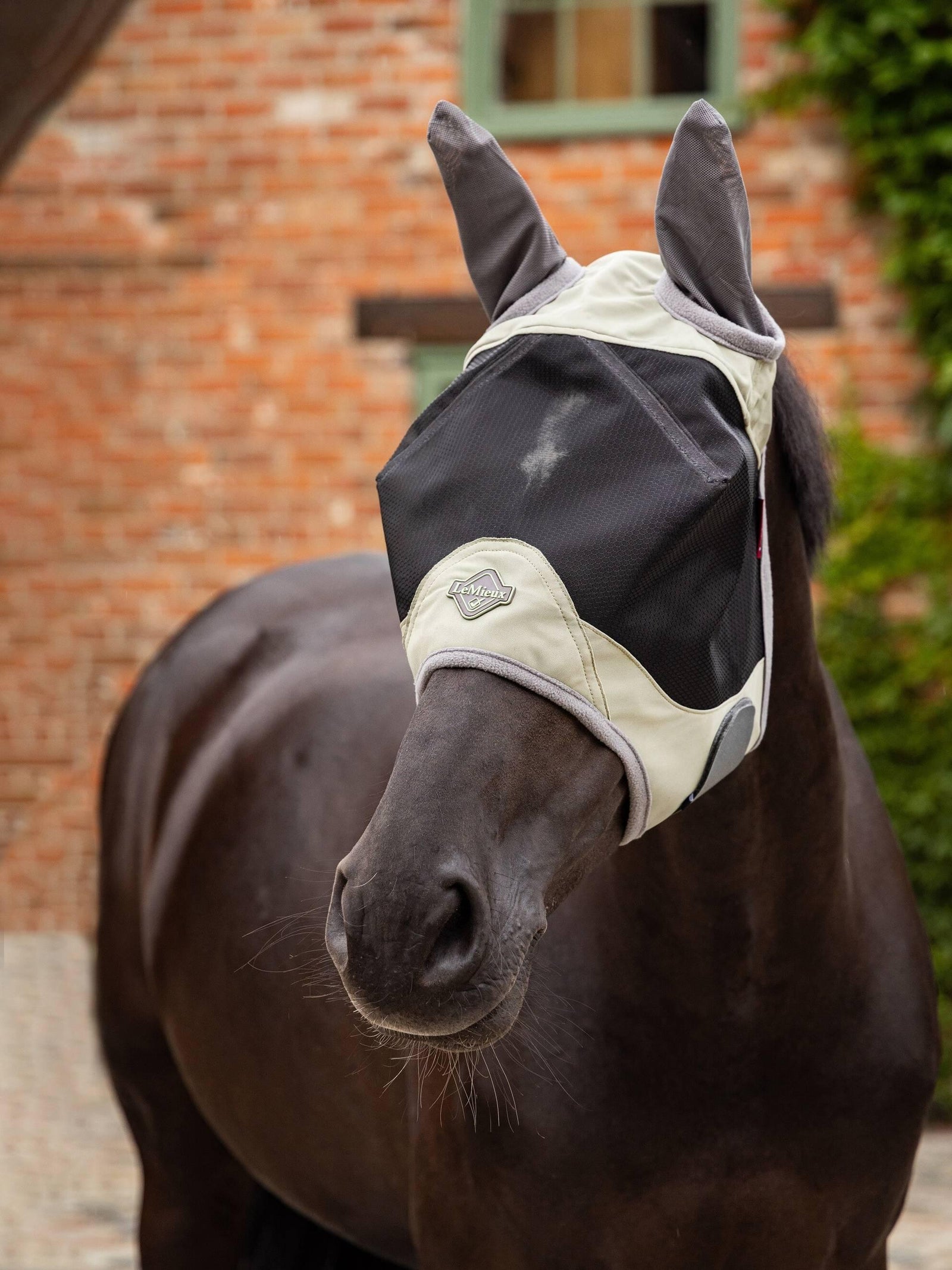LeMieux Visor-Tek Half Fly Mask - Fern