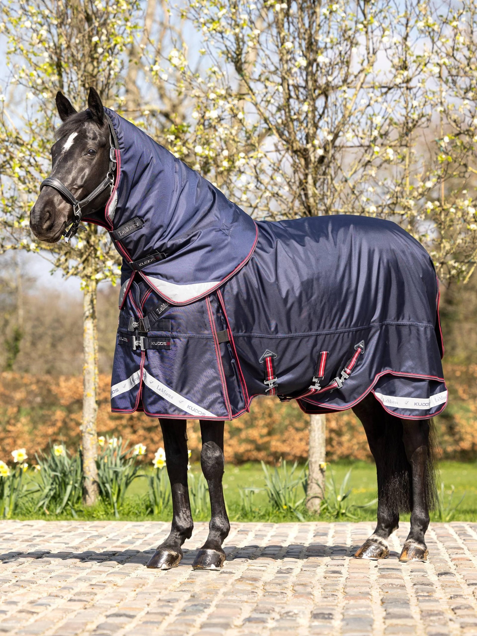 LeMieux Kudos Thermo Layer Turnout Rug 100g - Navy
