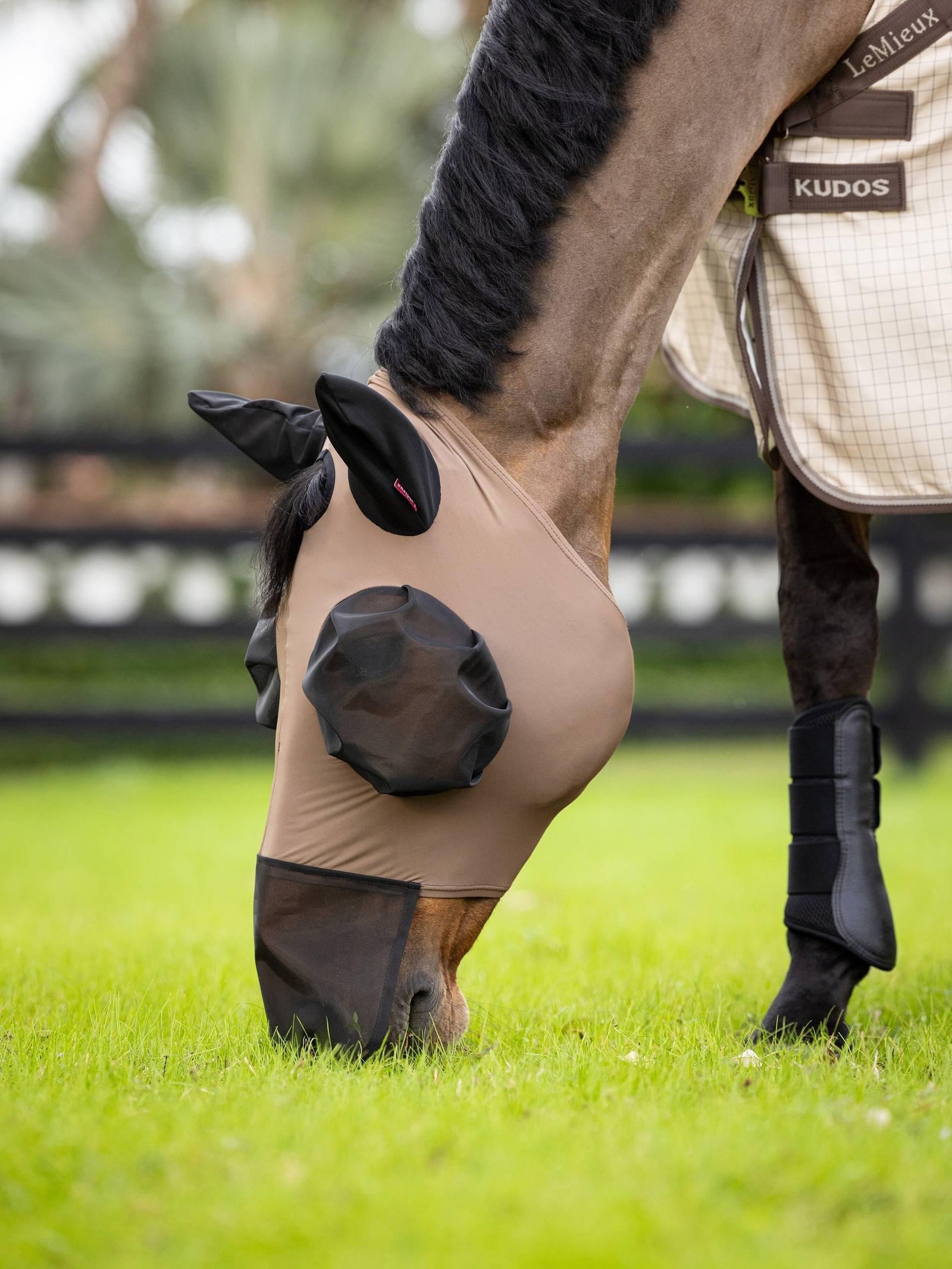 LeMieux Bug Relief Full Mask