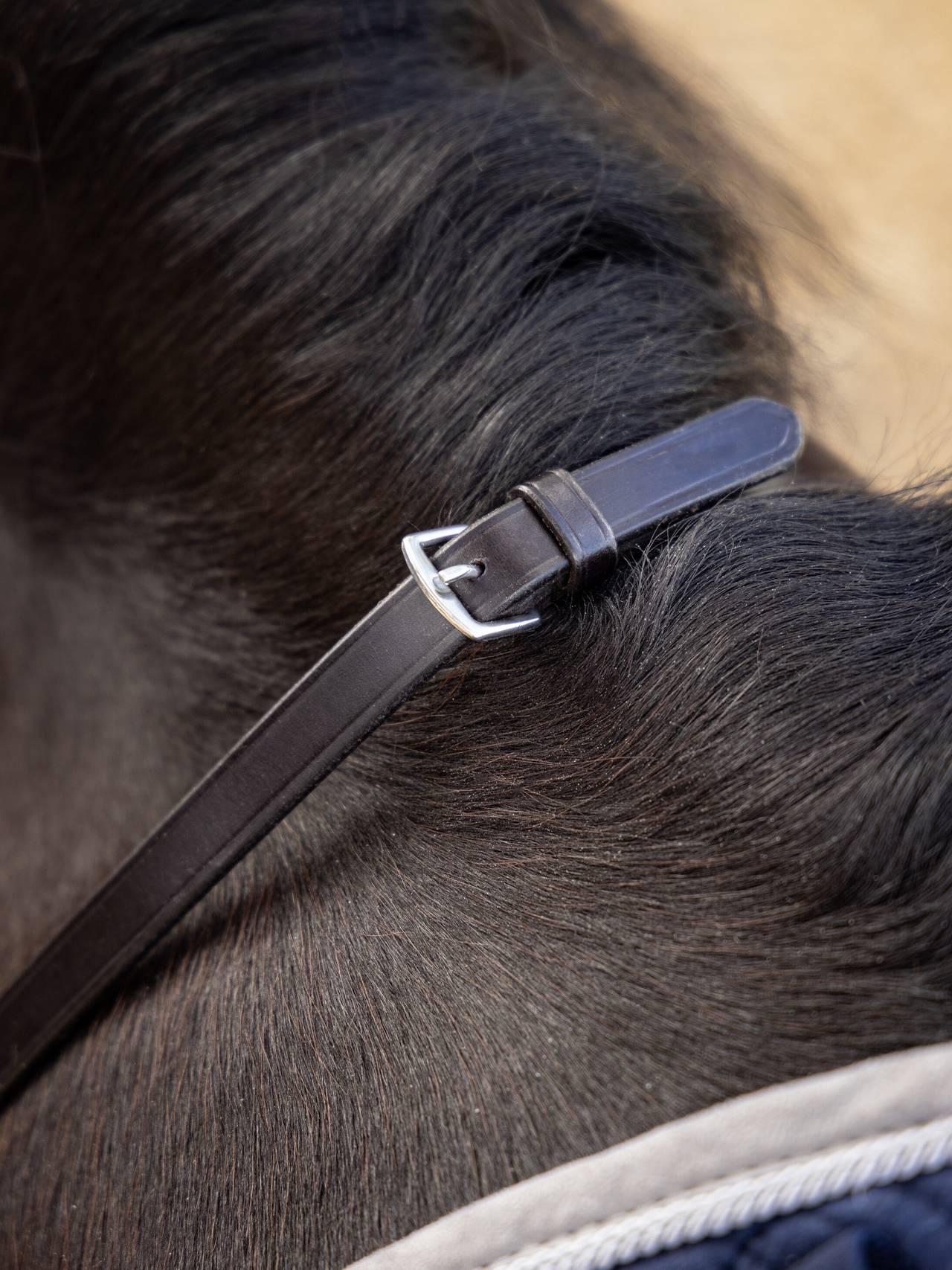 LeMieux Leather Laced Reins Brown/Silver