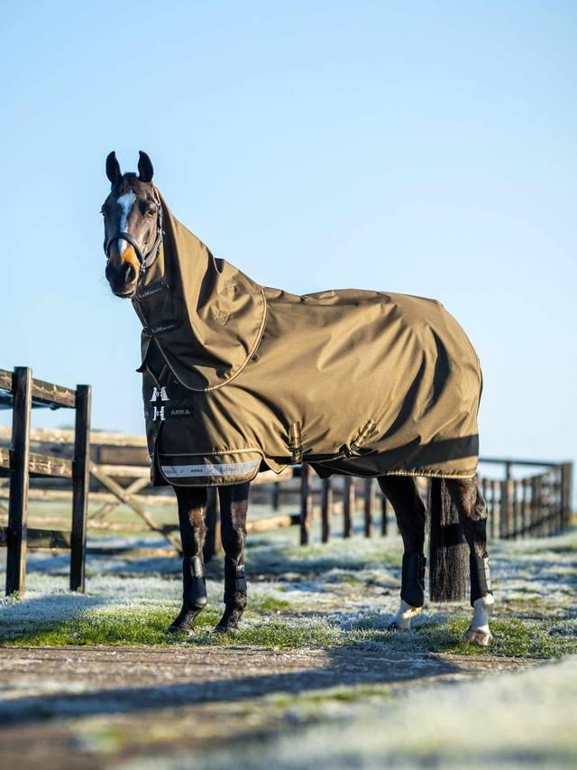 LeMieux Arika Ripstop 100g Turnout Rug - Alpine