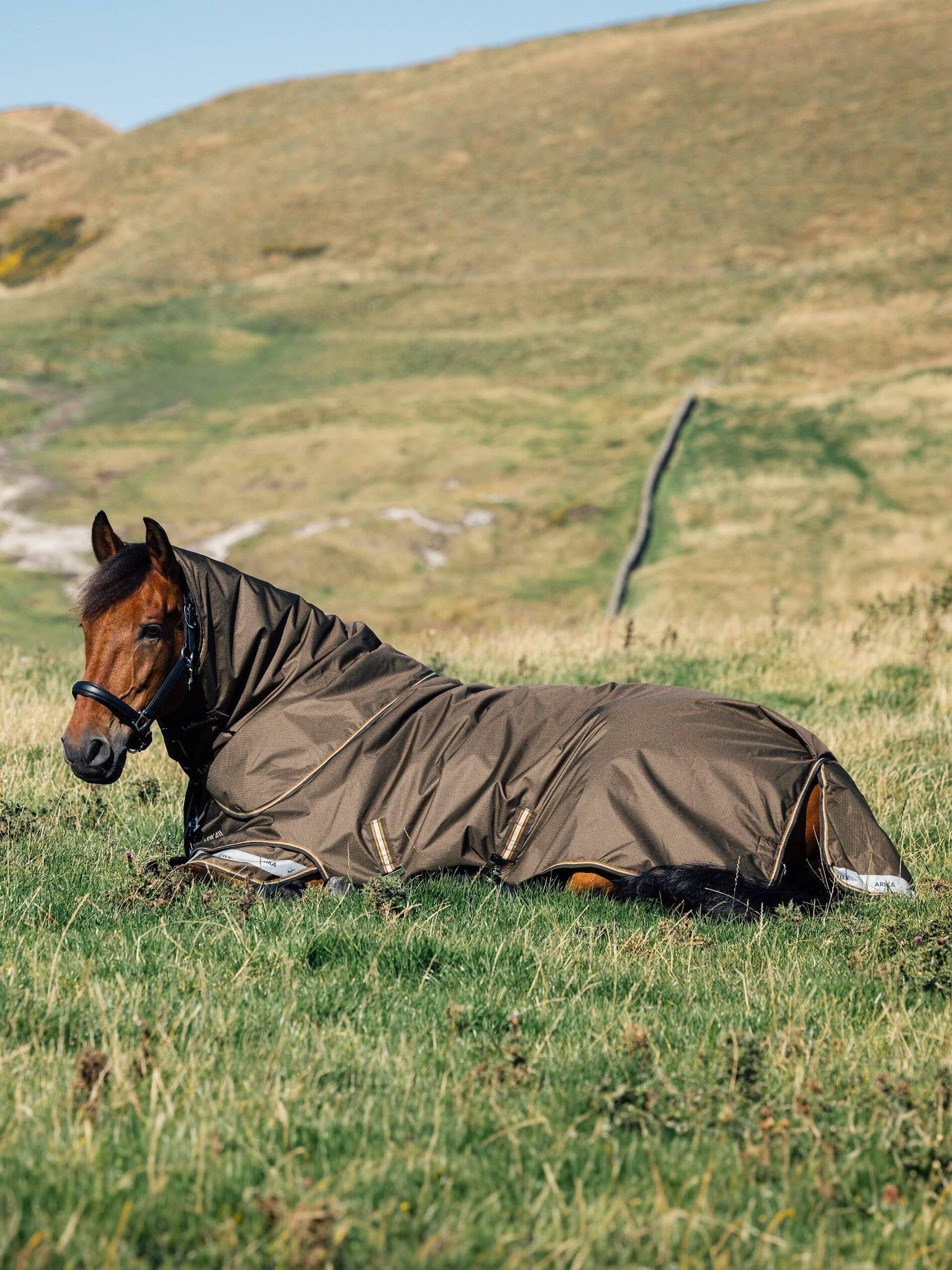 LeMieux Arika Ripstop 100g Turnout Rug - Alpine