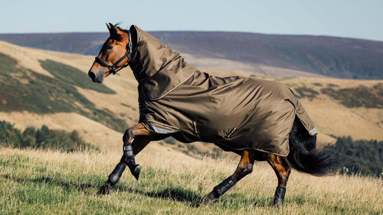 LeMieux Arika Ripstop 0g Turnout Rug - Alpine