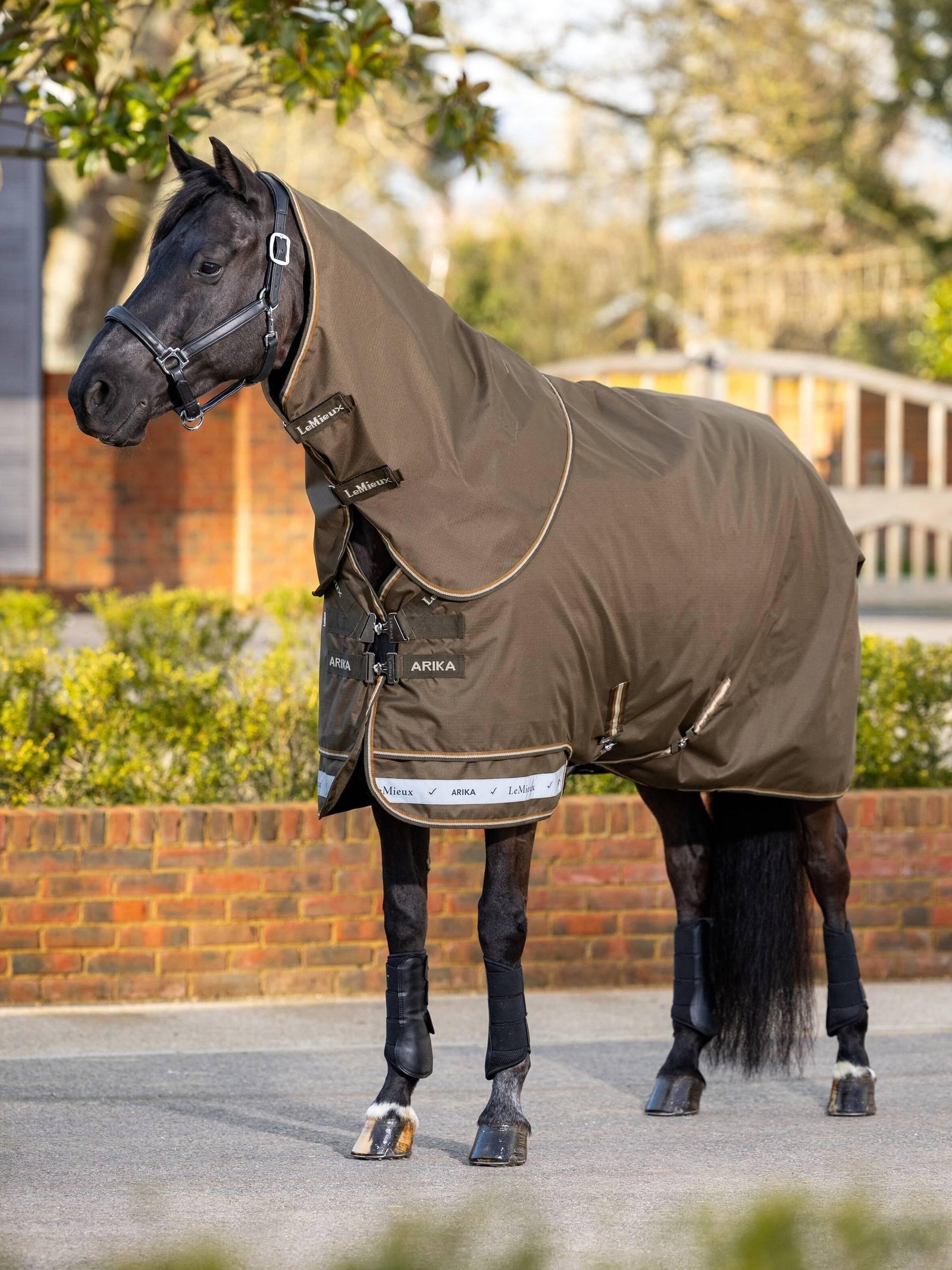 LeMieux Arika Ripstop 0g Turnout Rug - Alpine