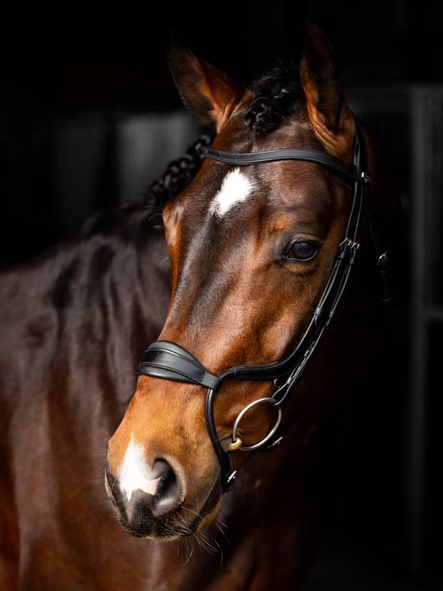 LeMieux Arika Adjustable Anatomic Noseband Bridle - Black/Silver