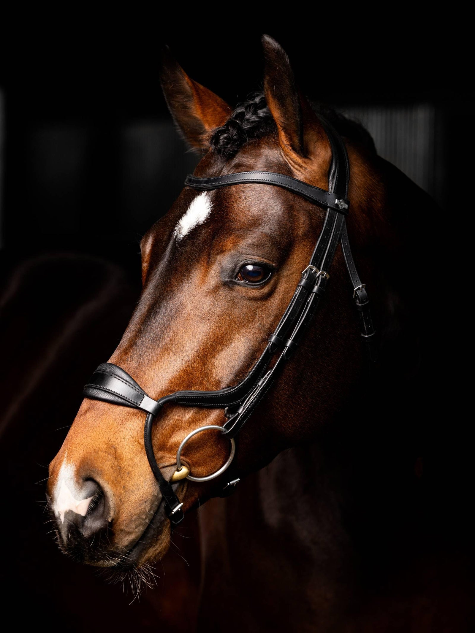 LeMieux Arika Adjustable Anatomic Noseband Bridle - Black/Silver