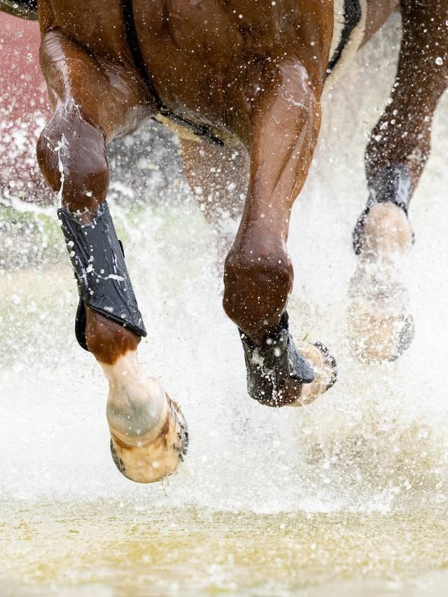 LeMieux MIMsafe XC Boot Front - Black