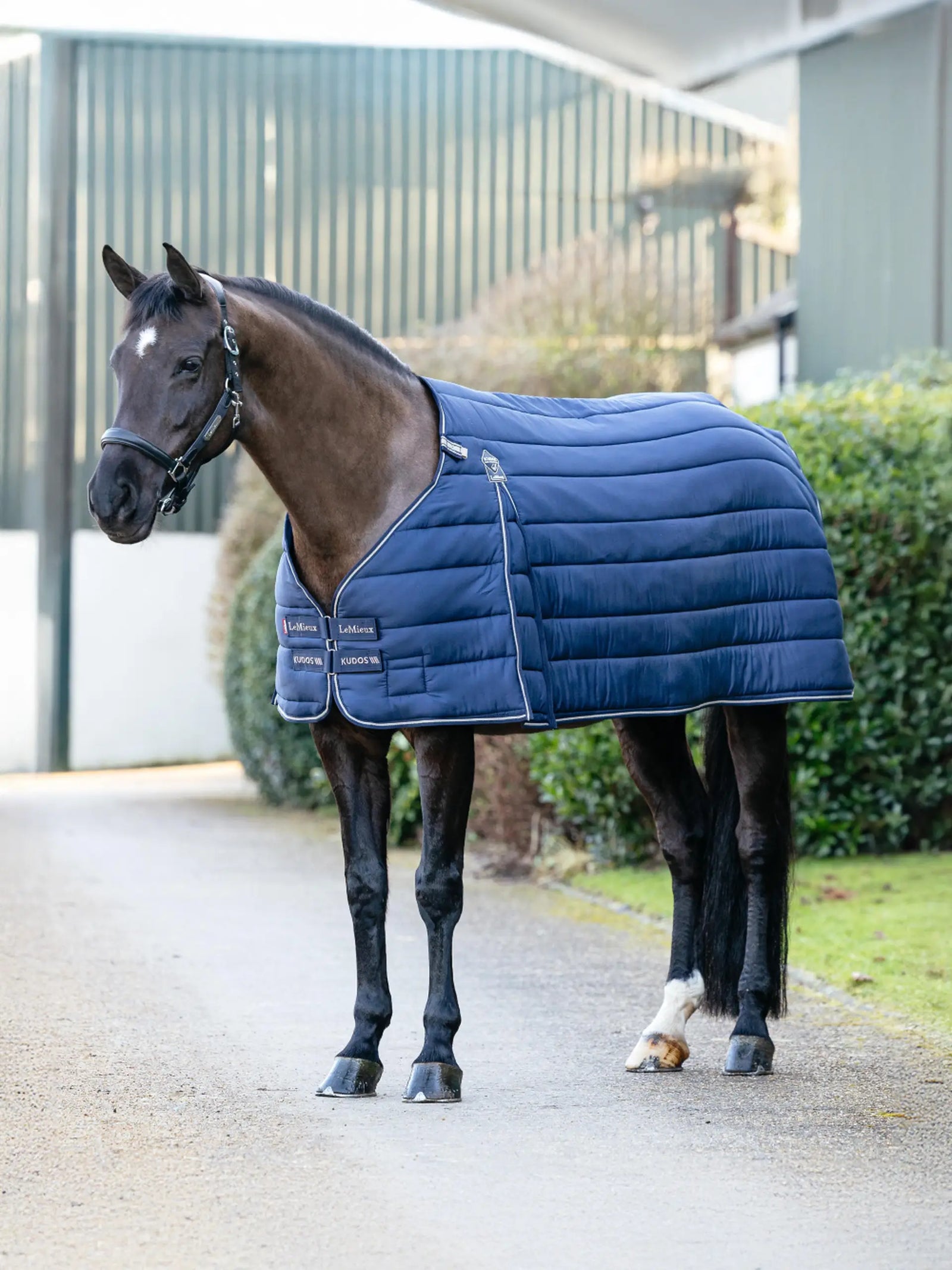 Lemieux Kudos Rug Liner 350g - Navy