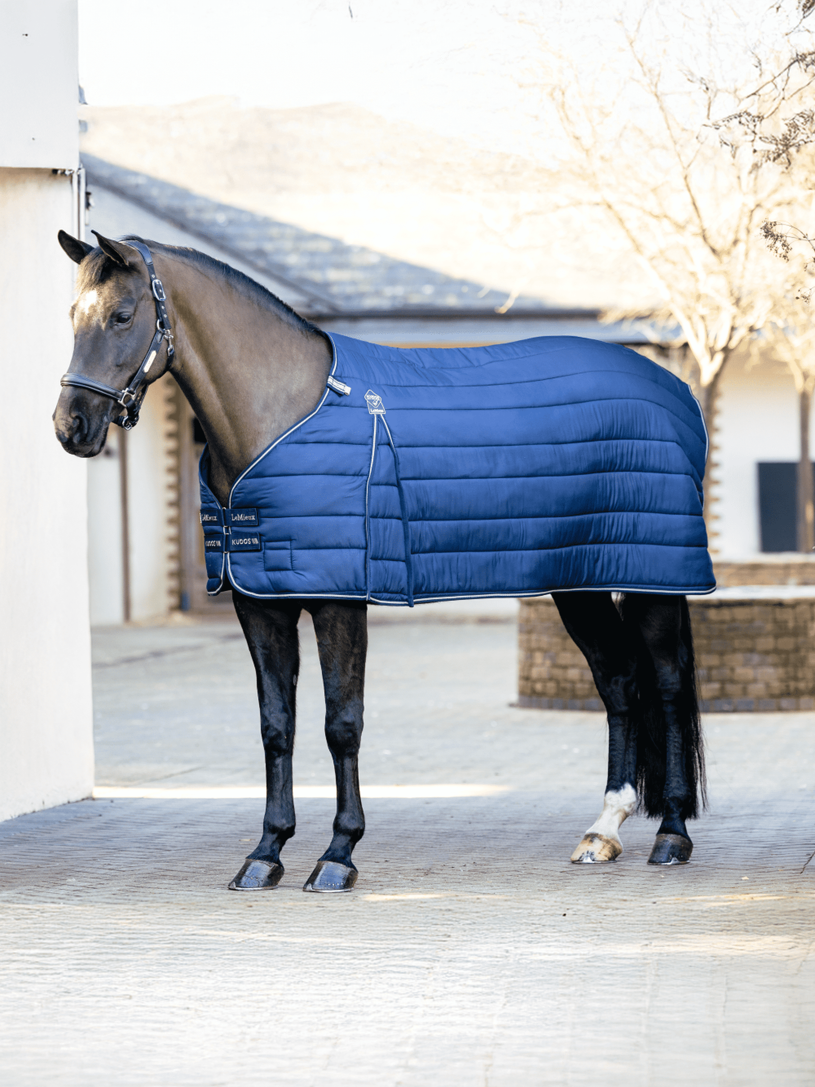 Lemieux Kudos Rug Liner 350g - Navy