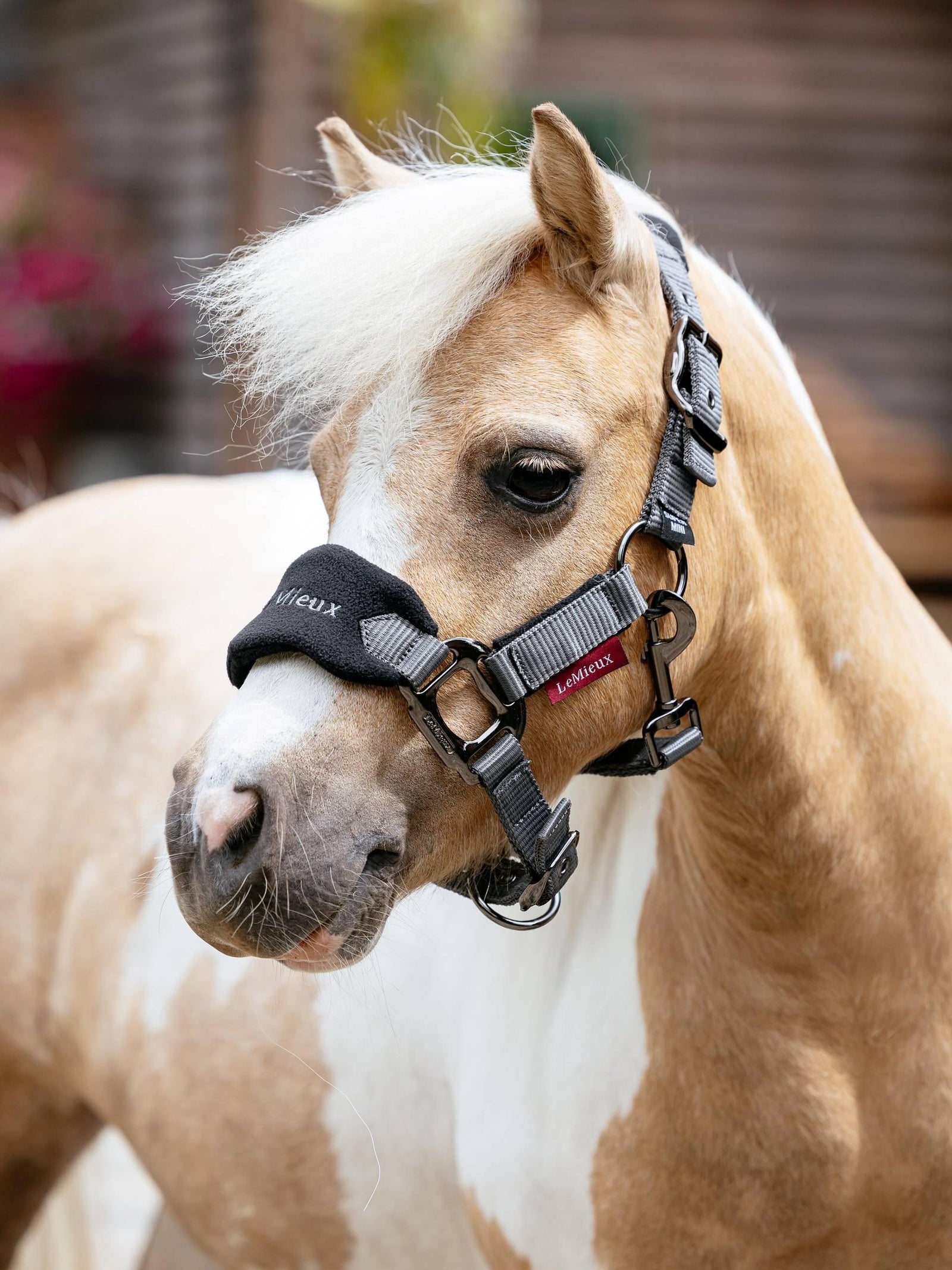 Lemieux Mini Vogue Headcollar & Leadrope