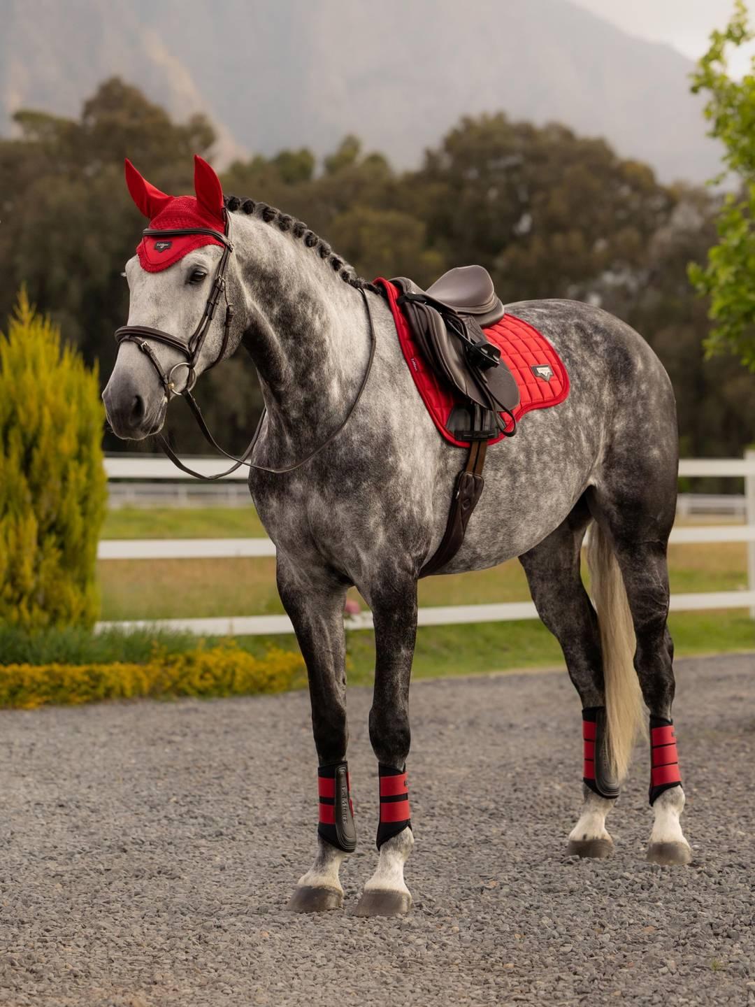 Loire Classic GP Square