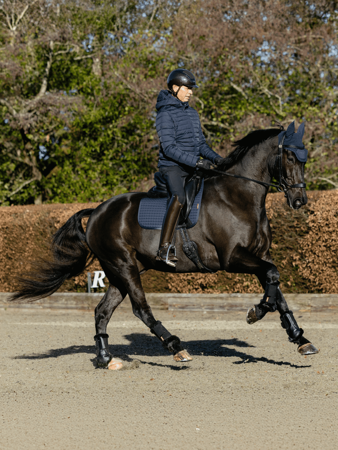 LeMieux Cotton Dressage Square