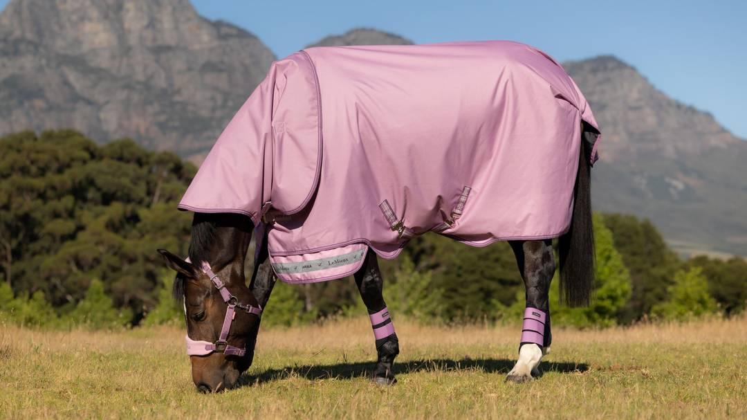 Arika Ripstop 0g Turnout Rug - Fondant