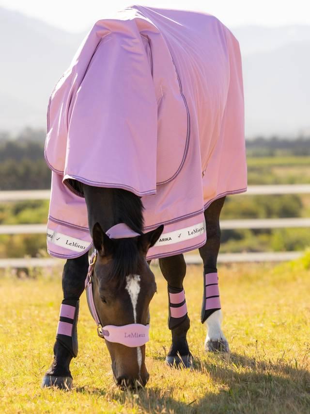 Arika Ripstop 0g Turnout Rug - Fondant