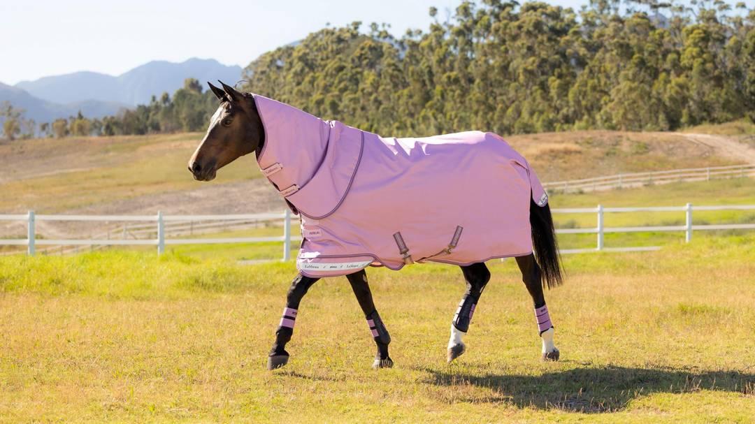 Arika Ripstop 0g Turnout Rug - Fondant