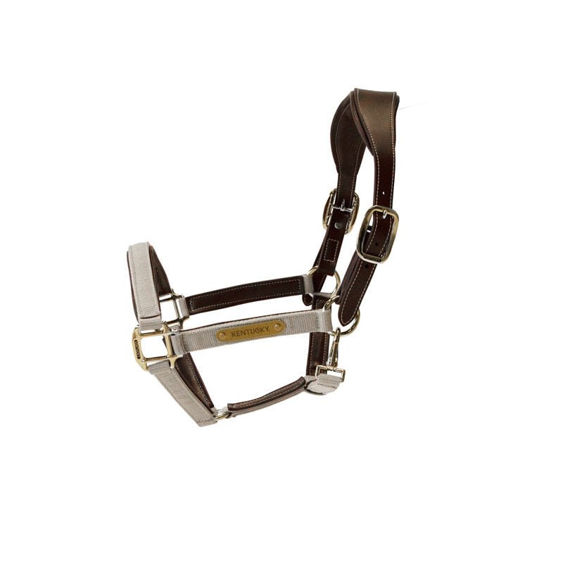 Kentucky Anatomic Nylon Headcollar - Nags Essentials