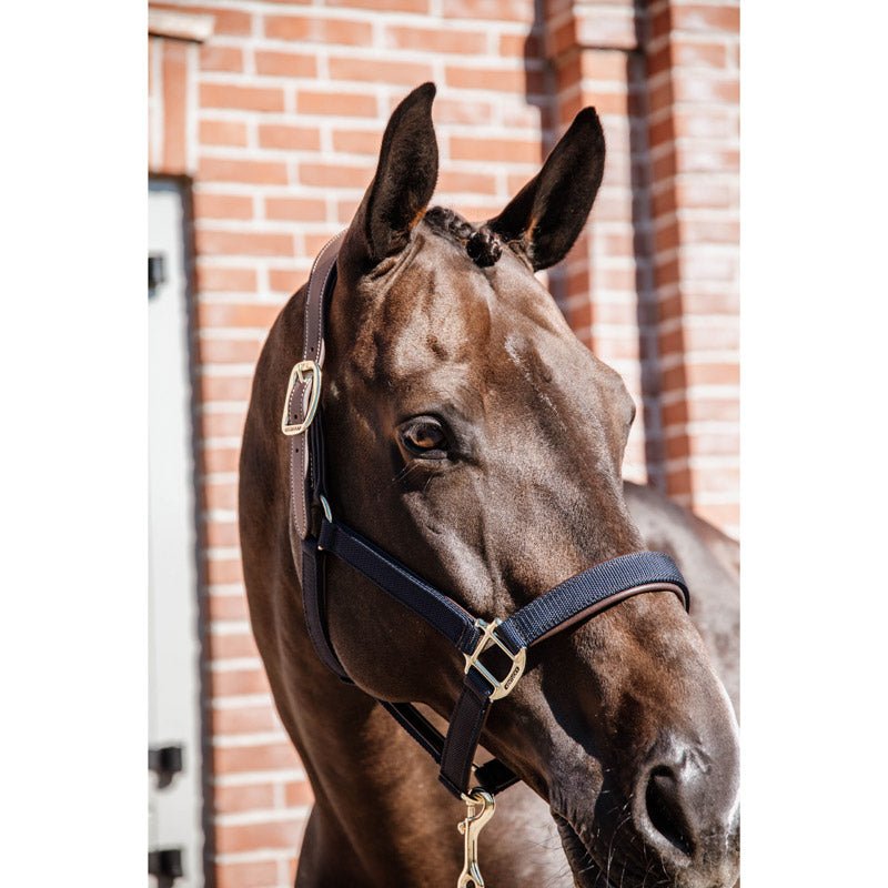 Kentucky Anatomic Nylon Headcollar - Nags Essentials