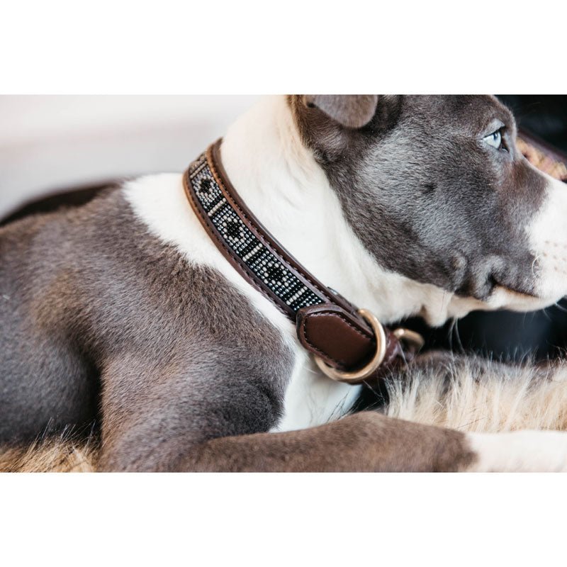 Kentucky Dogwear Dog Collar Pearls Silver - Nags Essentials