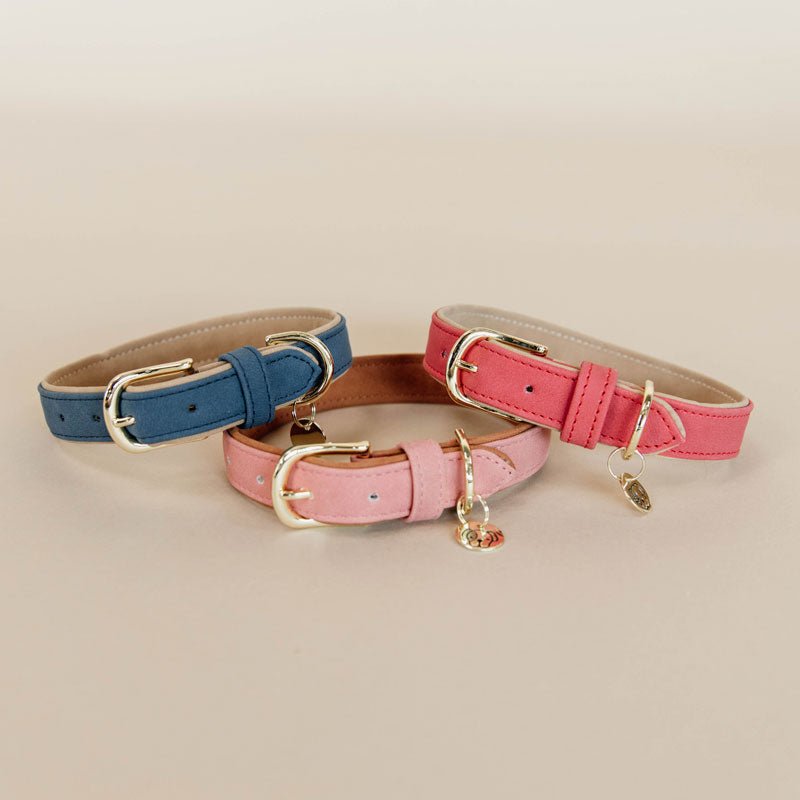 Kentucky Dogwear Soft Vegan Leather Dog Collar - Nags Essentials