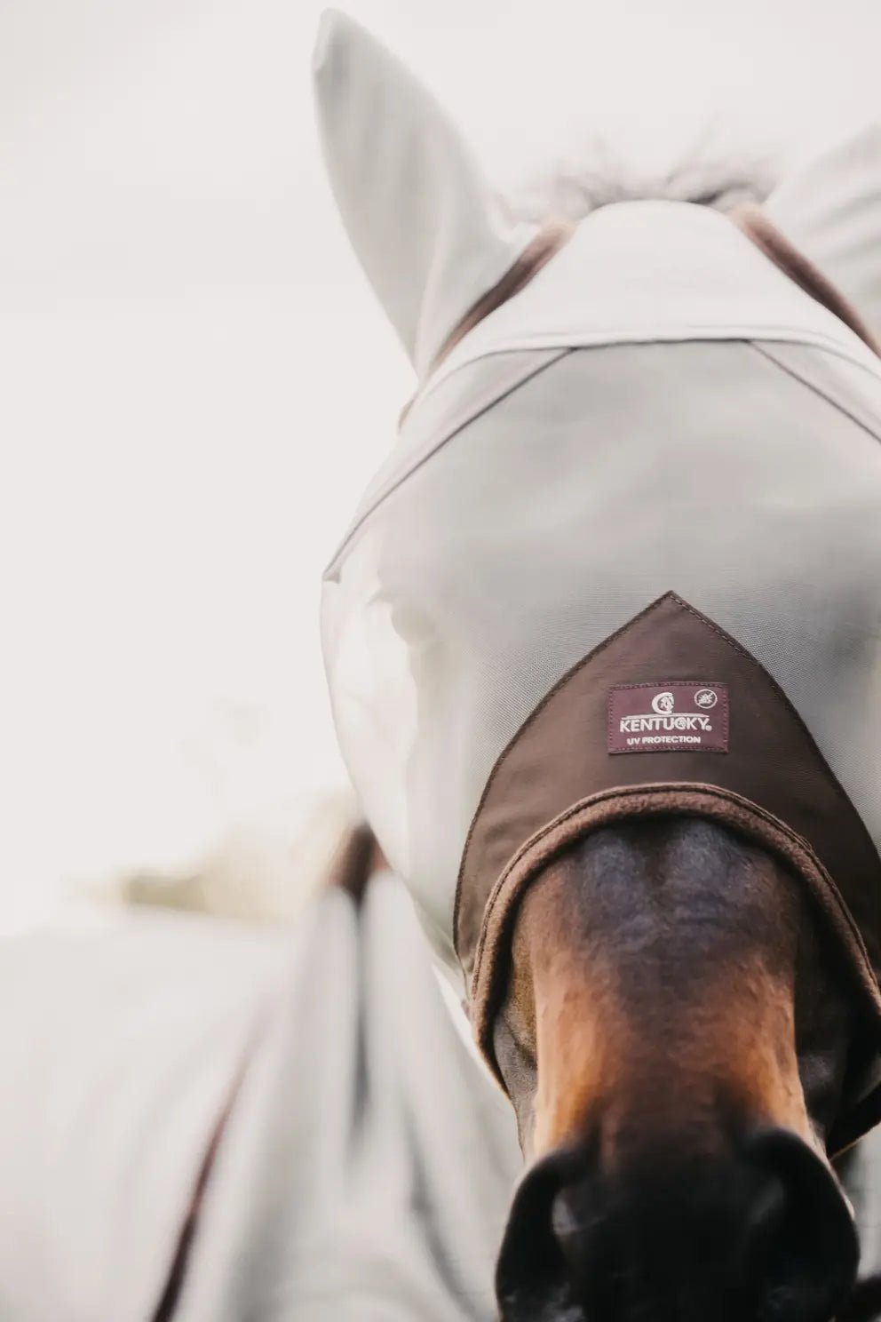 Kentucky Fly Mask Classic With Ears - Nags Essentials