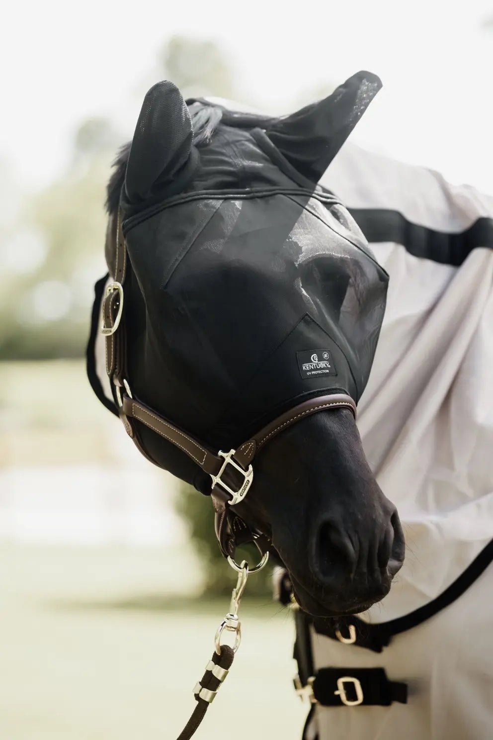 Kentucky Fly Mask Classic With Ears - Nags Essentials
