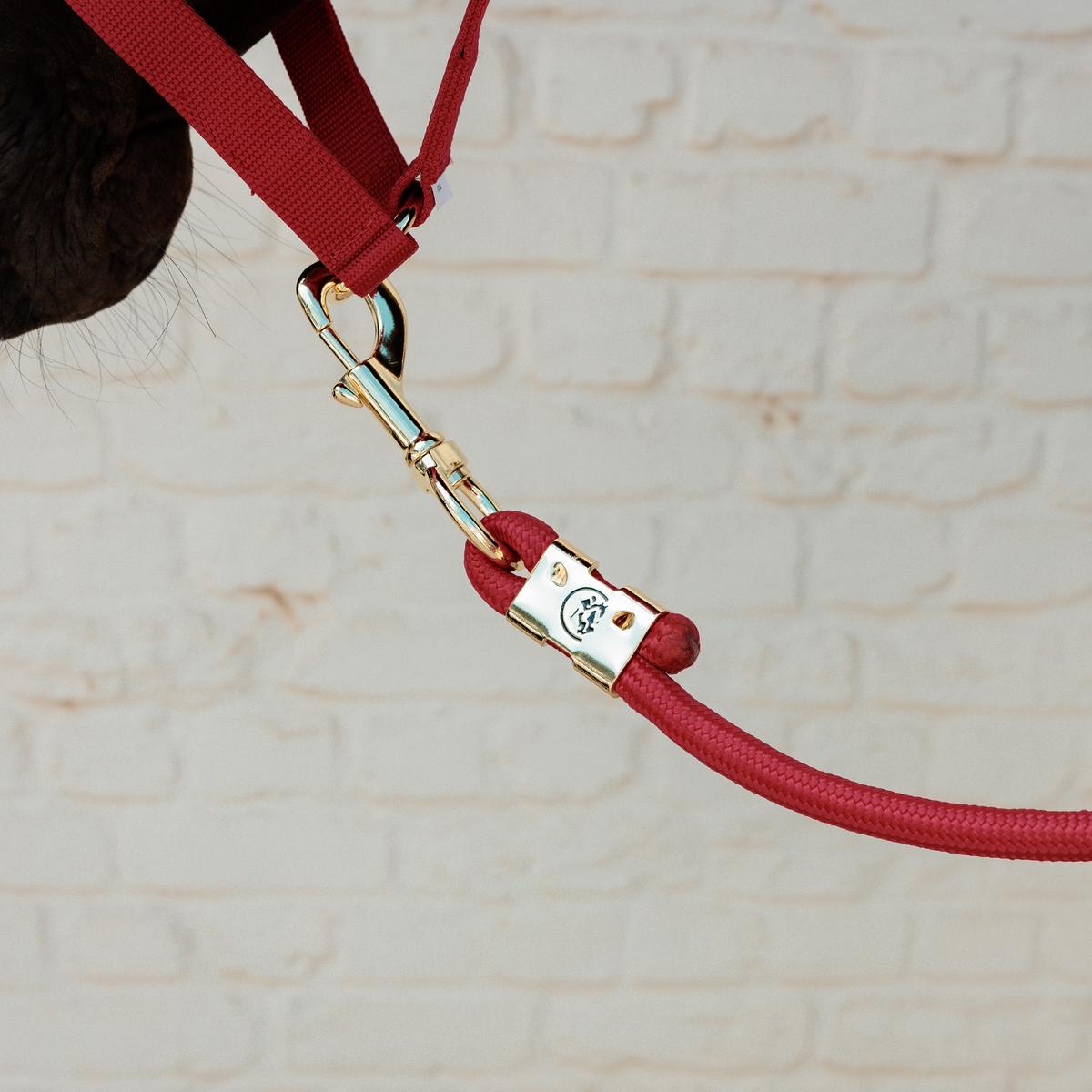 Kentucky Horsewer Lead Rope Basic - Nags Essentials